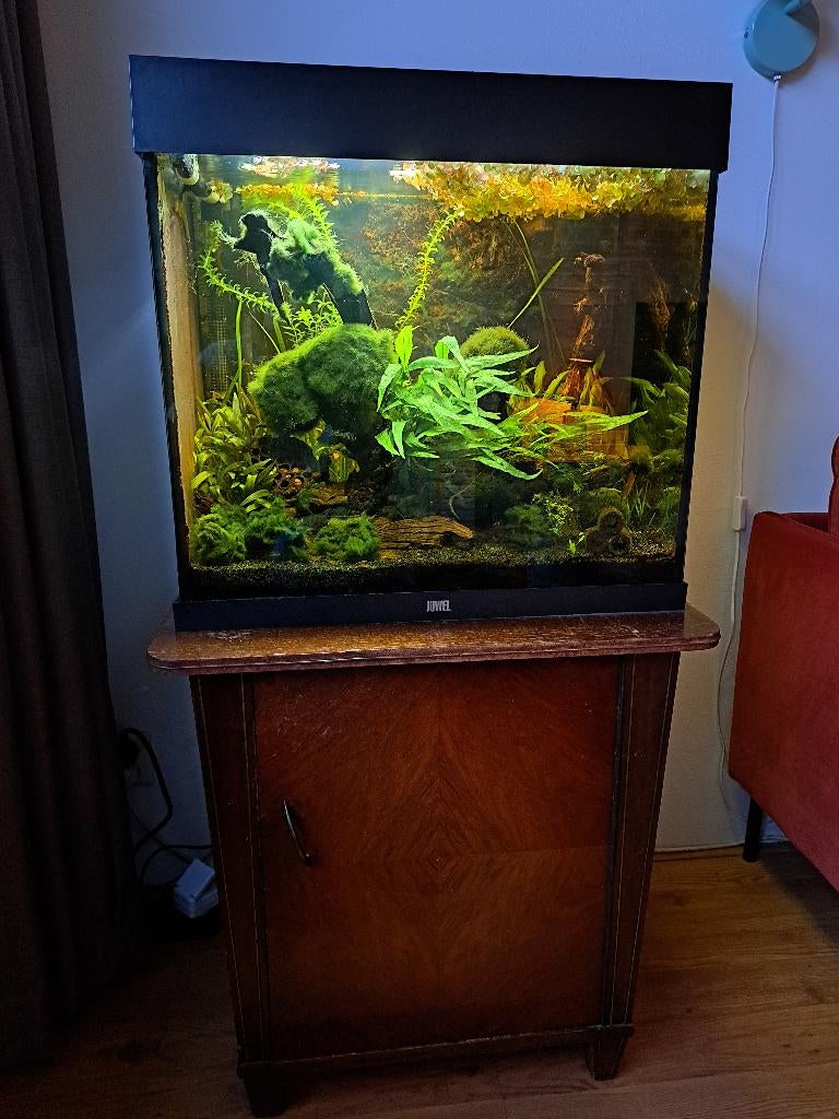 Juwel Lido aquarium 120ltr met kast en inrichting, Dieren en Toebehoren, Vissen | Aquaria en Toebehoren, Ophalen, Gebruikt, Gevuld zoetwateraquarium