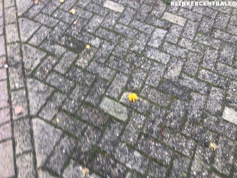 ROOIKORTING 350m2 heide grijs betonklinkers bkk bss oprit, Tuin en Terras, Tegels en Klinkers, Bij dit gebruikte product niet meer te achterhalen.