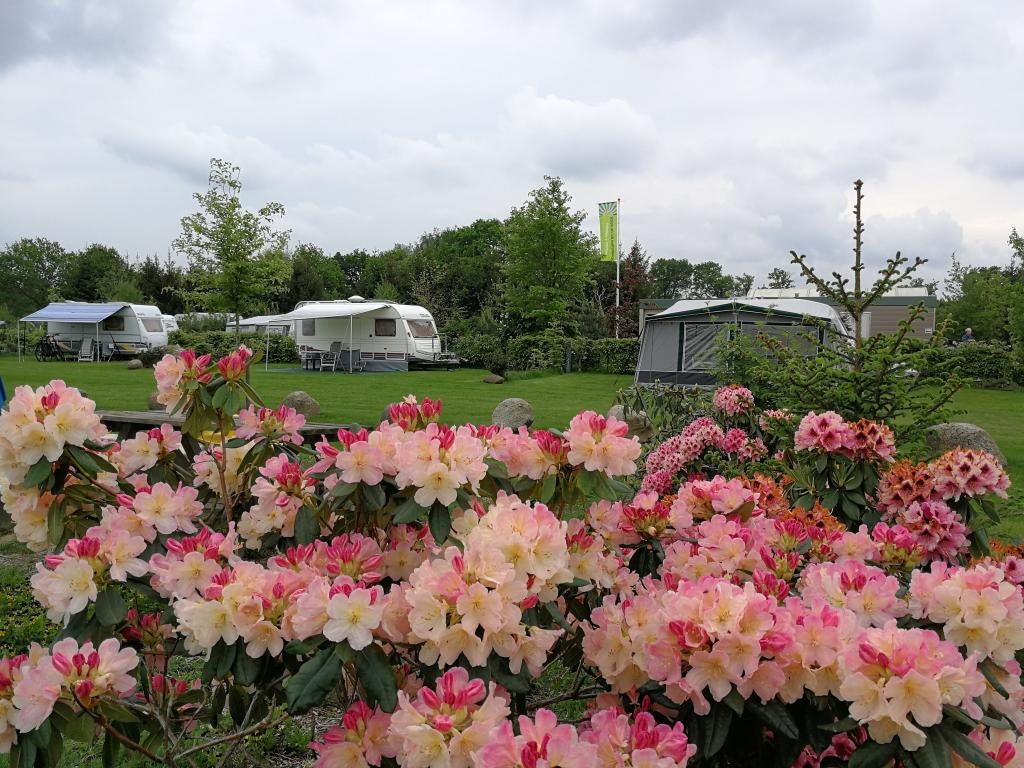 OP ZOEK NAAR EEN SEIZOENPLAATS IN BOSRIJK DRENTHE?, Internet, In bos, Landelijk