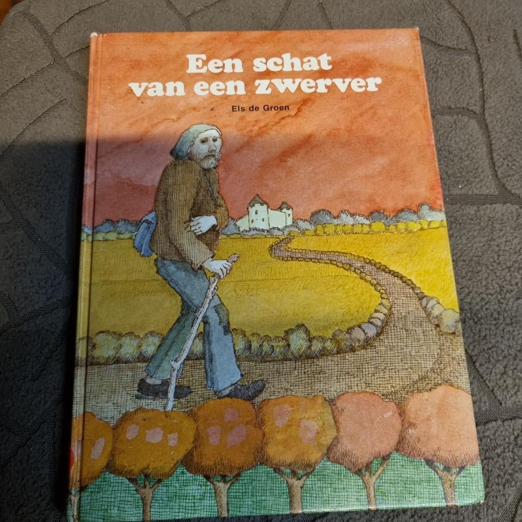 Een schat van een zwerver - Els de Groen, Ophalen of Verzenden, Gelezen, Els de Groen, Fictie algemeen