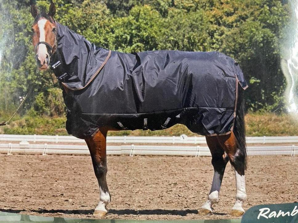 Nieuw Rambo XL Regendeken Zwart, bruine bies maat 140-6’3’’, Dieren en Toebehoren, Paarden en Pony's | Dekens en Dekjes, Ophalen of Verzenden