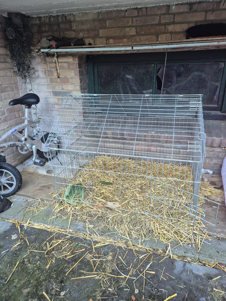 Konijn spulletjes, Ophalen, Zo goed als nieuw