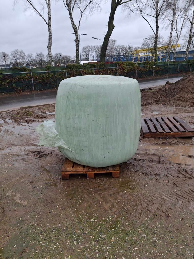 Maisbalen, mais, maispakken, balen, kuilvoer, Ophalen, Vee