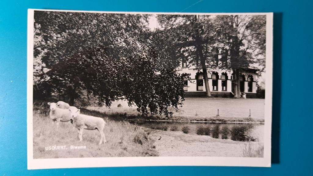Usquert Biwema 1962, Ophalen of Verzenden, 1960 tot 1980, Ongelopen, Groningen