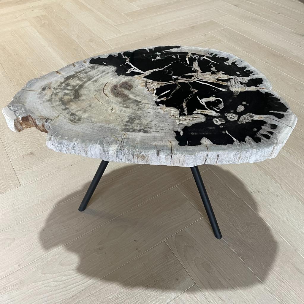 Versteend Hout Salontafels - Grote Voorraad!, 50 tot 100 cm, Rond, Nieuw, Minder dan 50 cm