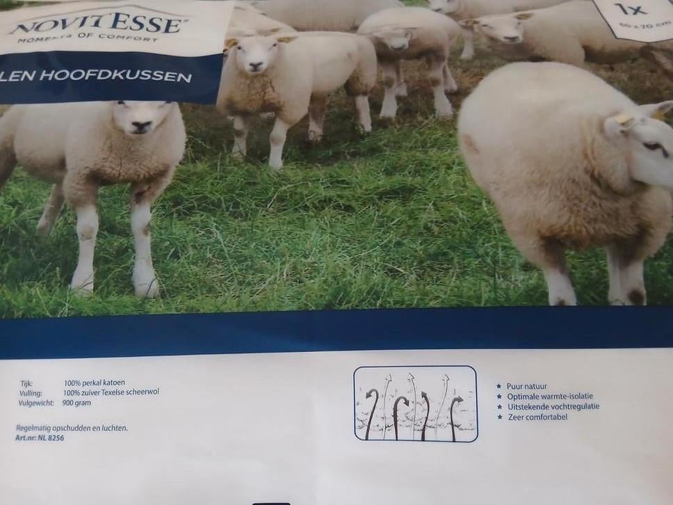 Wollen hoofdkussens 2  stuks nieuw 60 x 70, Huis en Inrichting, Slaapkamer | Beddengoed, Ophalen, Nieuw, Eenpersoons, Kussen