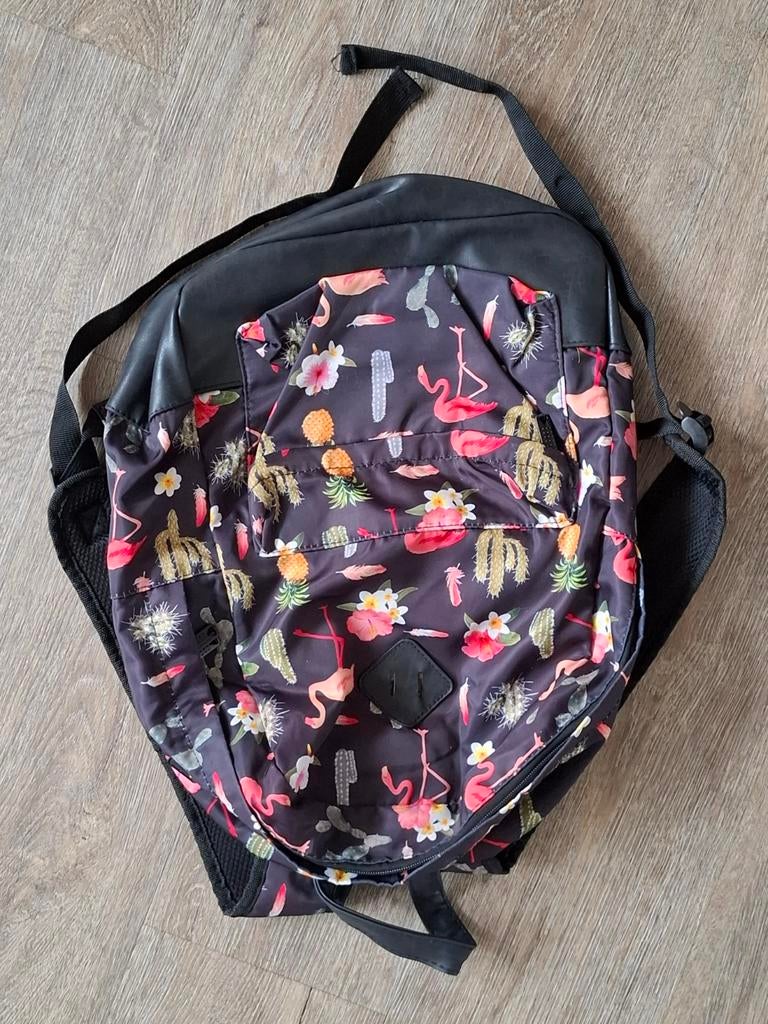 Schooltas, Sieraden, Tassen en Uiterlijk, Tassen | Rugtassen, Zo goed als nieuw, Overige merken, Ophalen of Verzenden
