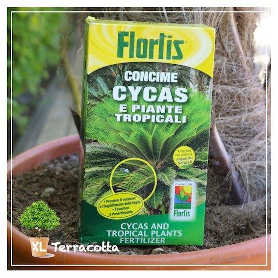 Voeding voor Palm en Olijfbomen, Tuin en Terras, Plantenvoeding, Ophalen of Verzenden, Nieuw