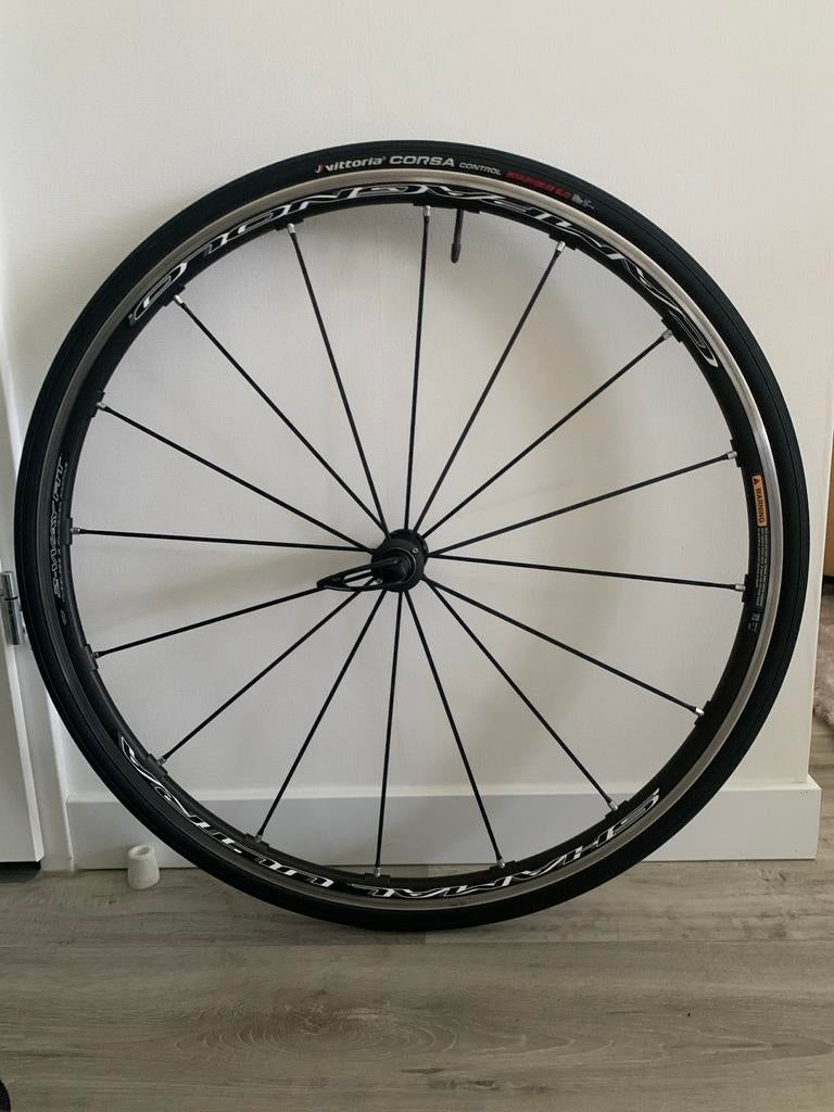 Campagnolo Shamal voorwiel + Vittoria Corsa Control band, Ophalen of Verzenden, Gebruikt, Wiel