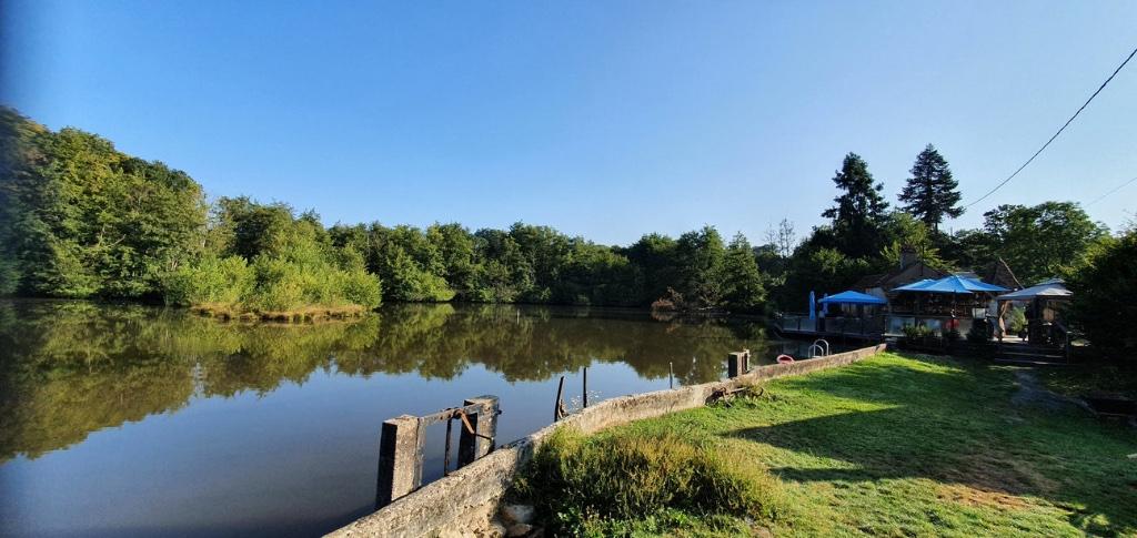 Prive Domein met 2 Watermolens/Gites + Mini Camping, Chiddes, Nievre, Frankrijk, Woonhuis, 20 kamers