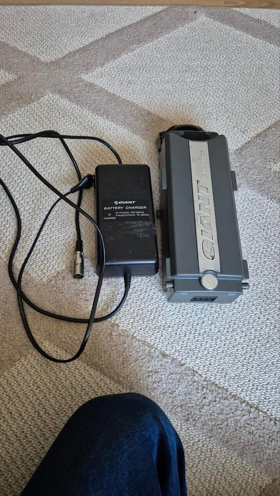 Giant Accu en Oplader 4-pins, Ophalen of Verzenden