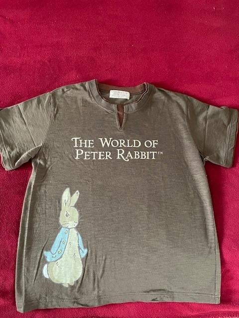 Beatrix Potter T-Shirt Peter Rabbit, Nieuw, Maat 38/40 (M), Bruin, Nieuw, Ophalen of Verzenden