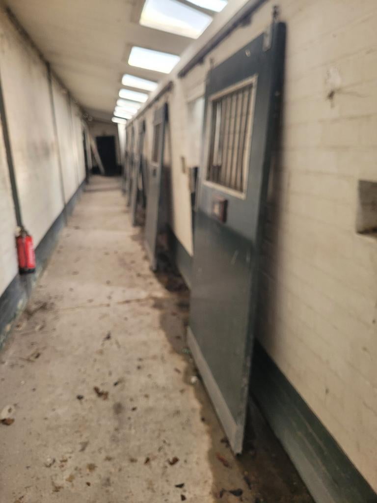 Stal deuren, Dieren en Toebehoren, Stalling en Weidegang