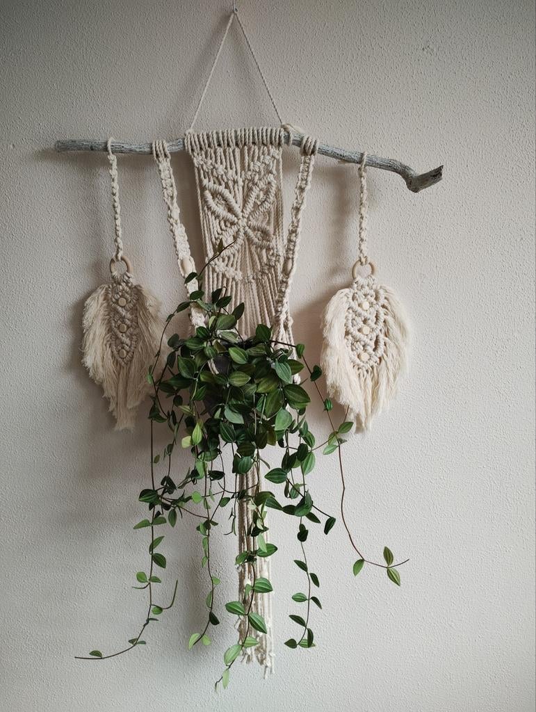Macramé plantenhanger met veren. Sisters Forever., Beige, Hout, Nieuw, Ophalen of Verzenden