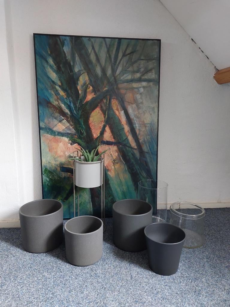 bloempotten en vazen, Ophalen, Halfschaduw, Minder dan 100 cm