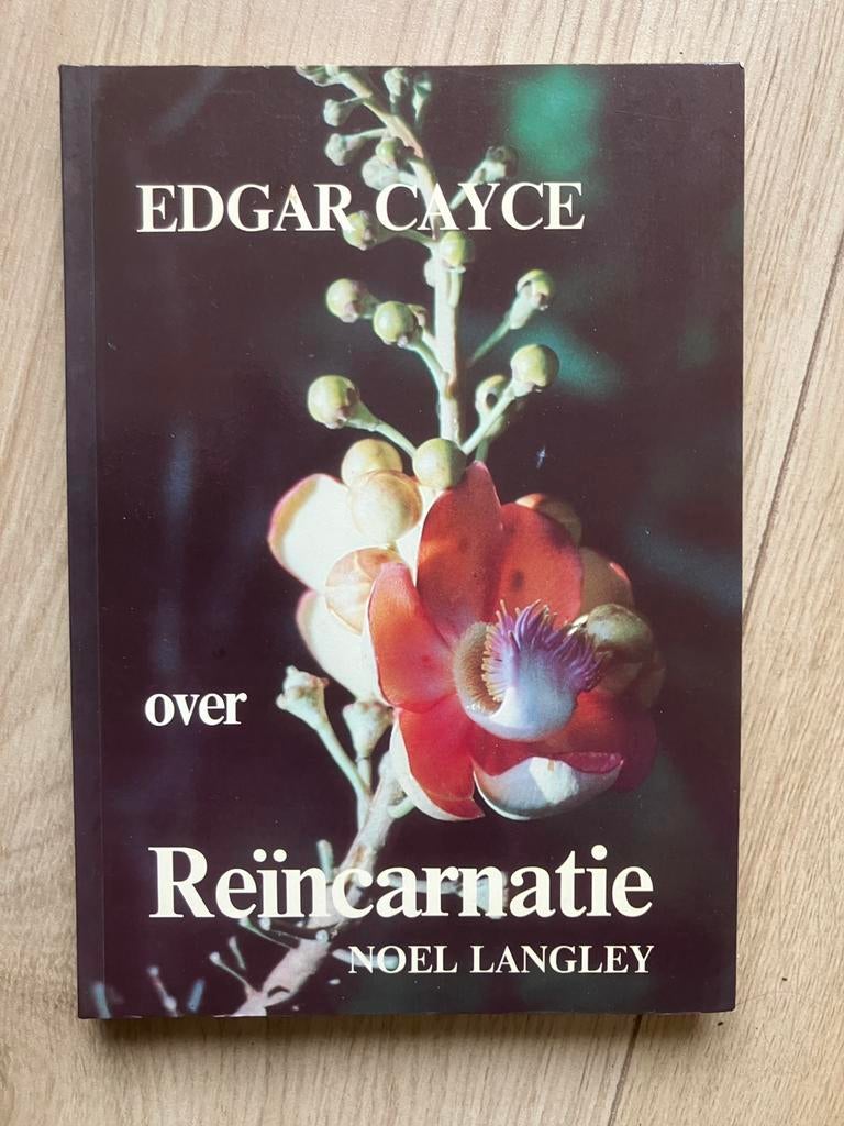 Edgar Cayce over reincarnatie - Noel Langley, Ophalen of Verzenden, Gelezen, Spiritualiteit algemeen, Achtergrond en Informatie