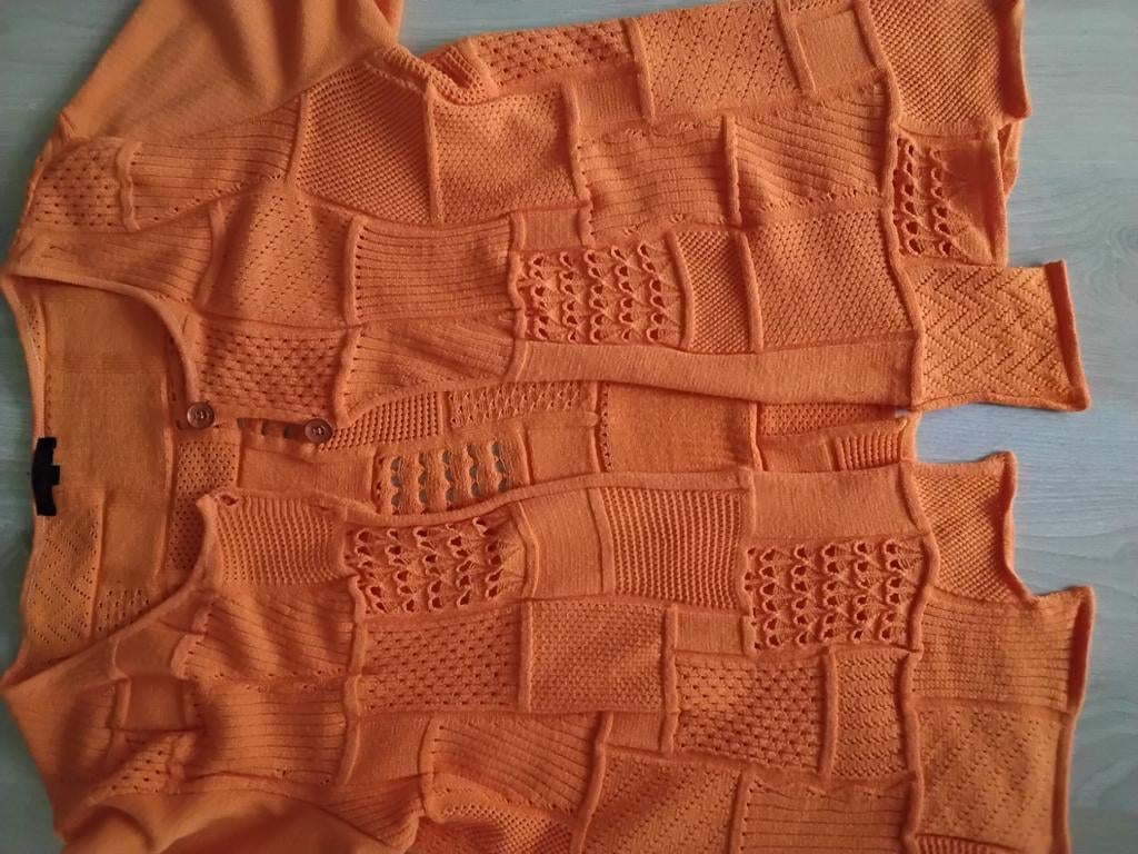 Dames vest 38, Kleding | Dames, Jumpsuits, Ophalen of Verzenden, Zo goed als nieuw, Maat 38/40 (M), Oranje