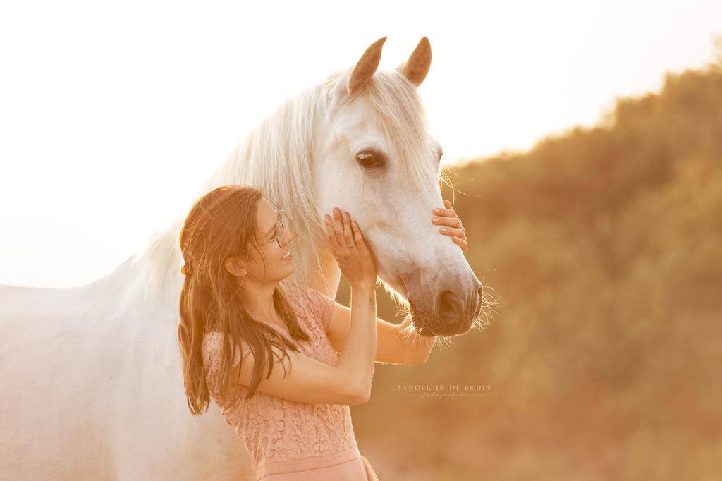 PRE merrie - lief, sociaal, braaf, Dieren en Toebehoren, Paarden, Merrie, Minder dan 160 cm, 11 jaar of ouder, Recreatiepaard