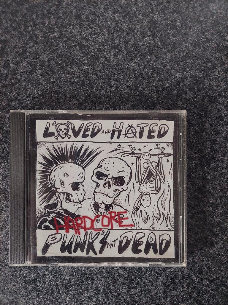 Punk / Hardcore CD's, Ophalen of Verzenden, Gebruikt