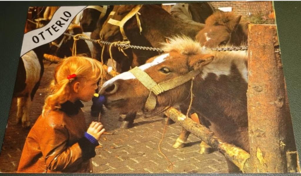 Paard - Meisje en paard - Otterlo, Verzamelen, Verzenden, 1980 tot heden, Gelopen, Paard