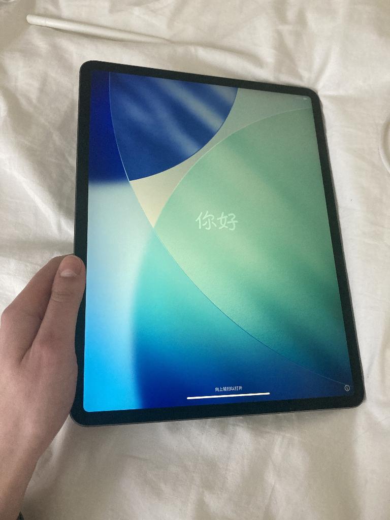 iPad Pro 12.9-inch (4th generation), Computers en Software, Apple iPads, Gebruikt, Apple iPad, 12 inch, Ophalen of Verzenden