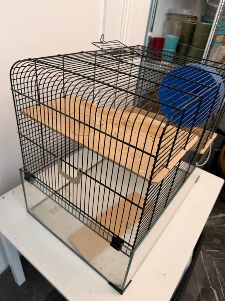 Leuk hamster hok, Minder dan 75 cm, Ophalen, Minder dan 60 cm, Hok