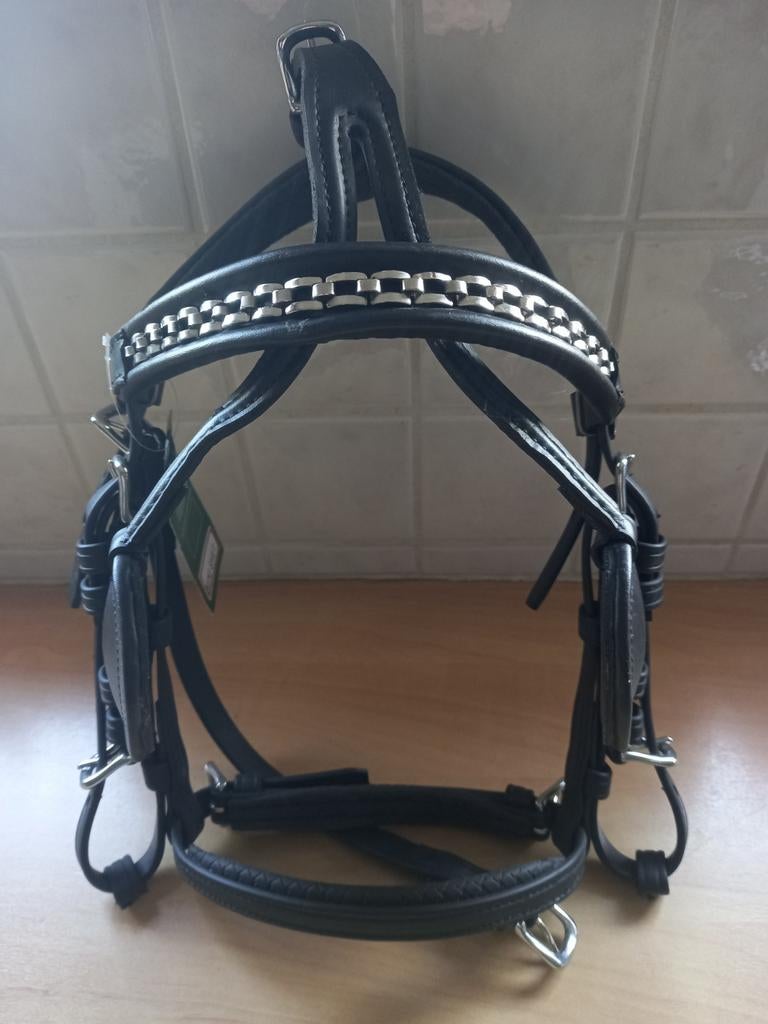 Mini shet menhoofdstel Tjeu v/d Meulengraaf, Dieren en Toebehoren, Ophalen of Verzenden, Nieuw, Overige soorten