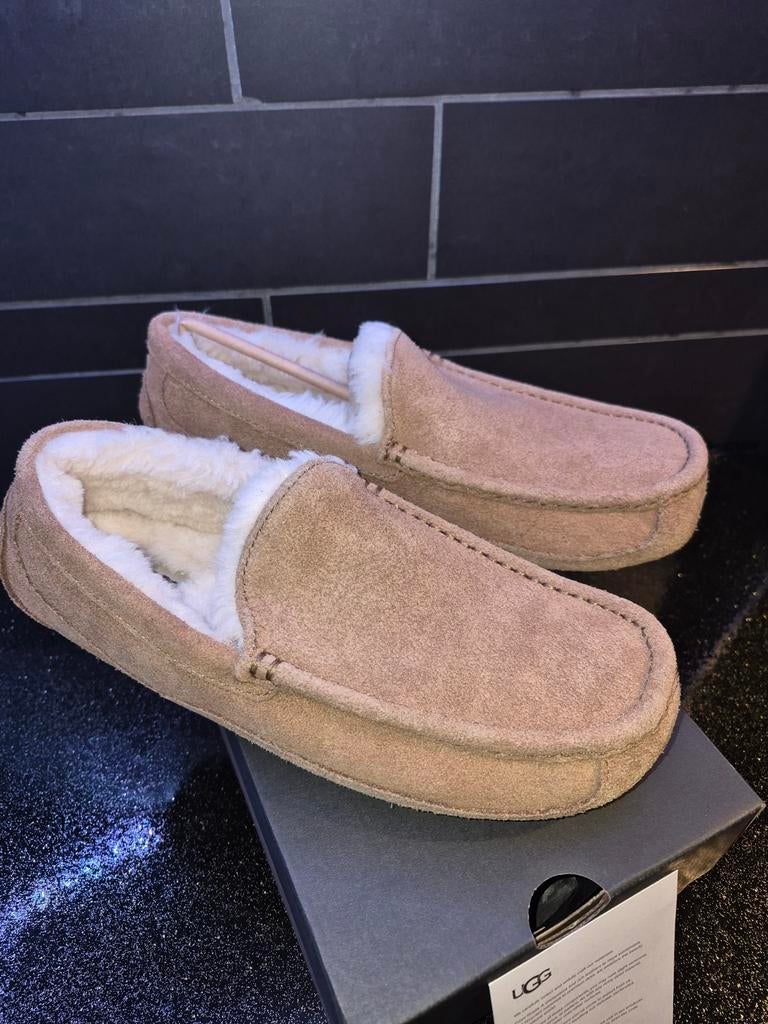 NIEUW Ugg Ascot maat 42, Ophalen of Verzenden, Nieuw, Pantoffels of Sloffen