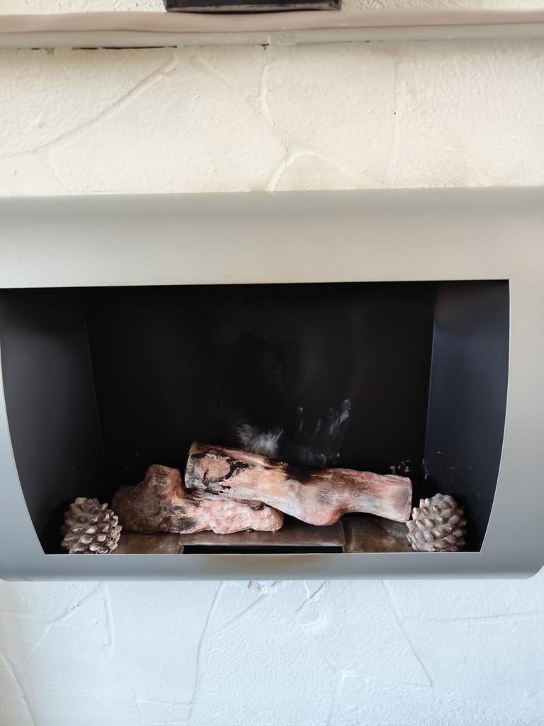 Bioetenol haard, Huis en Inrichting, Haarden, Ophalen, Zo goed als nieuw, Vrijstaande haard, Elektrische haard