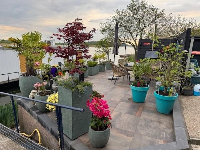 WOONARK MET VASTE LIGPLAATS NEDERHEMERT-NOORD, Huizen en Kamers, Woonboten te koop, Gelderland, Verkoop zonder makelaar, C