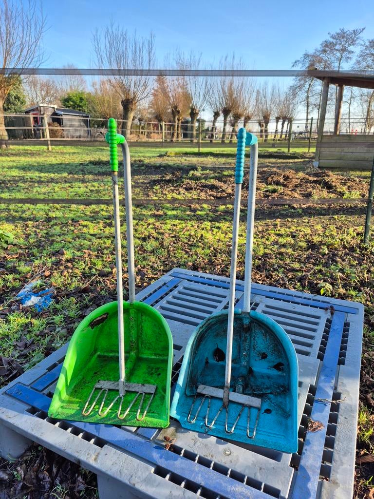 2 mestboys, Dieren en Toebehoren, Ophalen, Gebruikt, Overige soorten