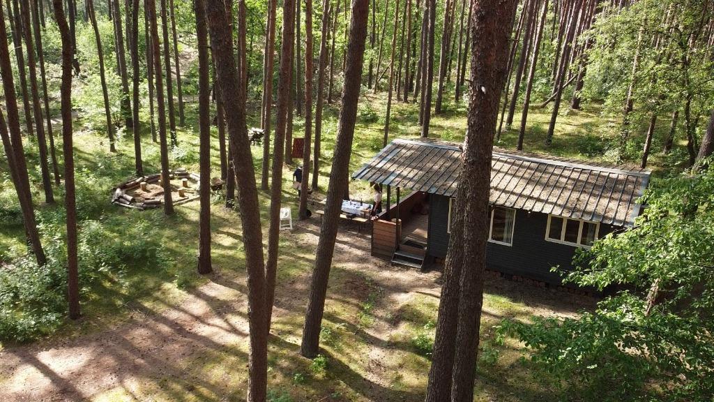Chalet ( s ) met eigen bosgrond perceel (3.400 m²), In bos, Tuin, 2 slaapkamers, Antwerpen of Vlaanderen