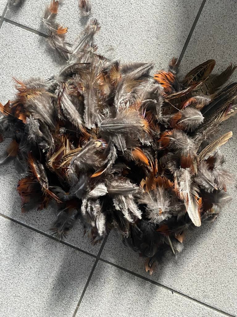 Fazant veren, Ophalen of Verzenden