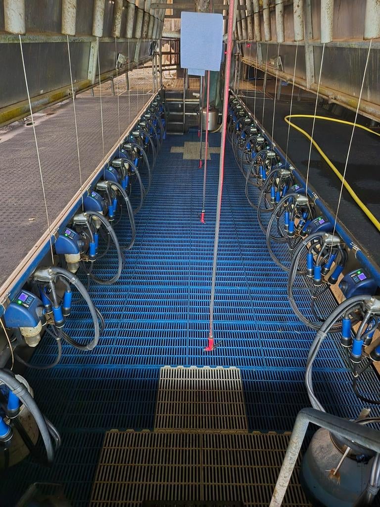 Nette 2x12 SAC melkstal