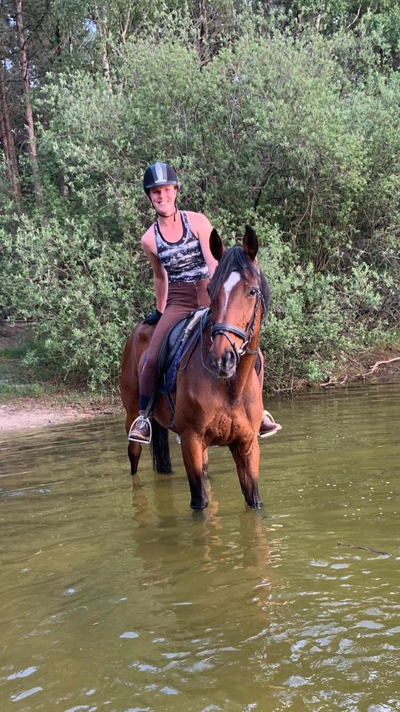 Weide/weiland/grond met schuur/loods gezocht, Dieren en Toebehoren, Stalling en Weidegang