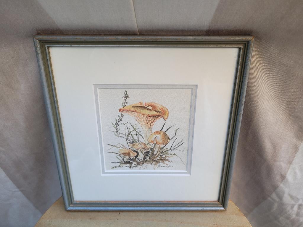 2 Leuke aquarellen van paddestoelen gesign. J. Berntsen, Antiek en Kunst, Kunst | Schilderijen | Klassiek, Ophalen of Verzenden