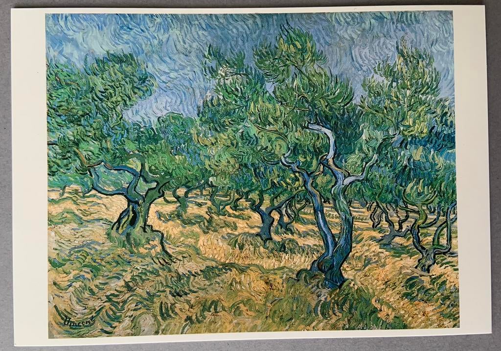 Vincent van Gogh, Olijfgaard, Ophalen of Verzenden, Ongelopen