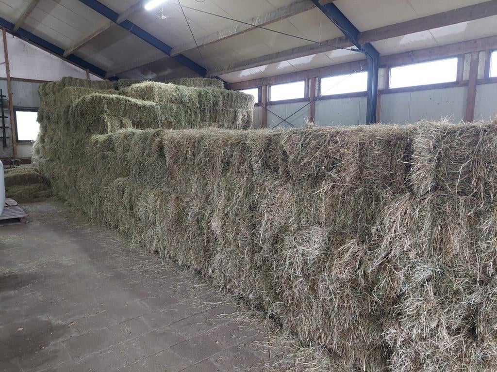 Mooi paarden hooi te koop