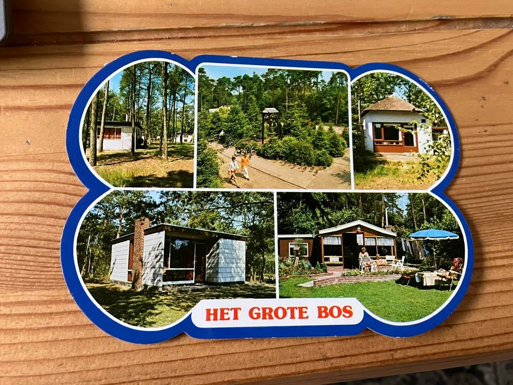 Ansichtkaart Driebergen Doorn, het grote bos, Ophalen of Verzenden, Utrecht