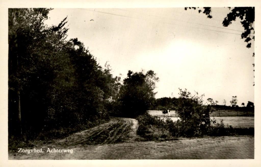 Zorgvlied Achterweg # 66, Ophalen of Verzenden, 1940 tot 1960, Ongelopen, Drenthe