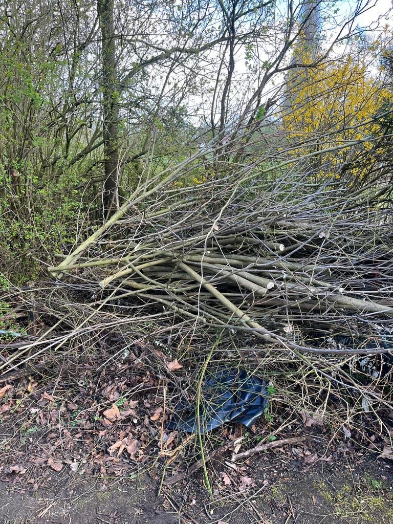 Grote partij (brand)hout, Tuin en Terras, Ophalen, Halfschaduw, Overige soorten, 100 tot 250 cm