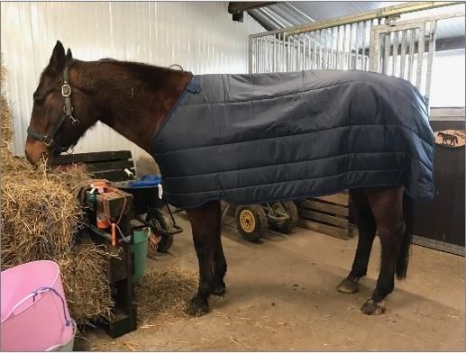Diverse paardendekens, Dieren en Toebehoren, Paarden en Pony's | Dekens en Dekjes, Ophalen of Verzenden, Zo goed als nieuw, Deken