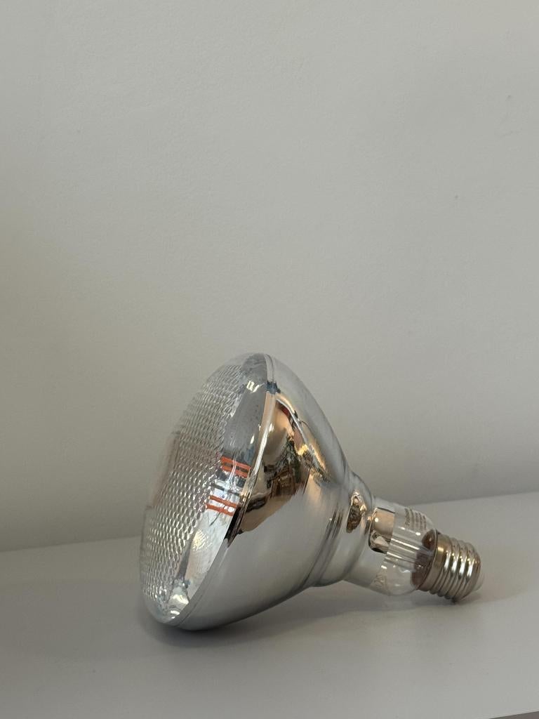 Paulmann LED grow light bulb E27 Grow Green 6.5W, 30 tot 60 watt, Gloeilamp, Nieuw, E27 (groot)