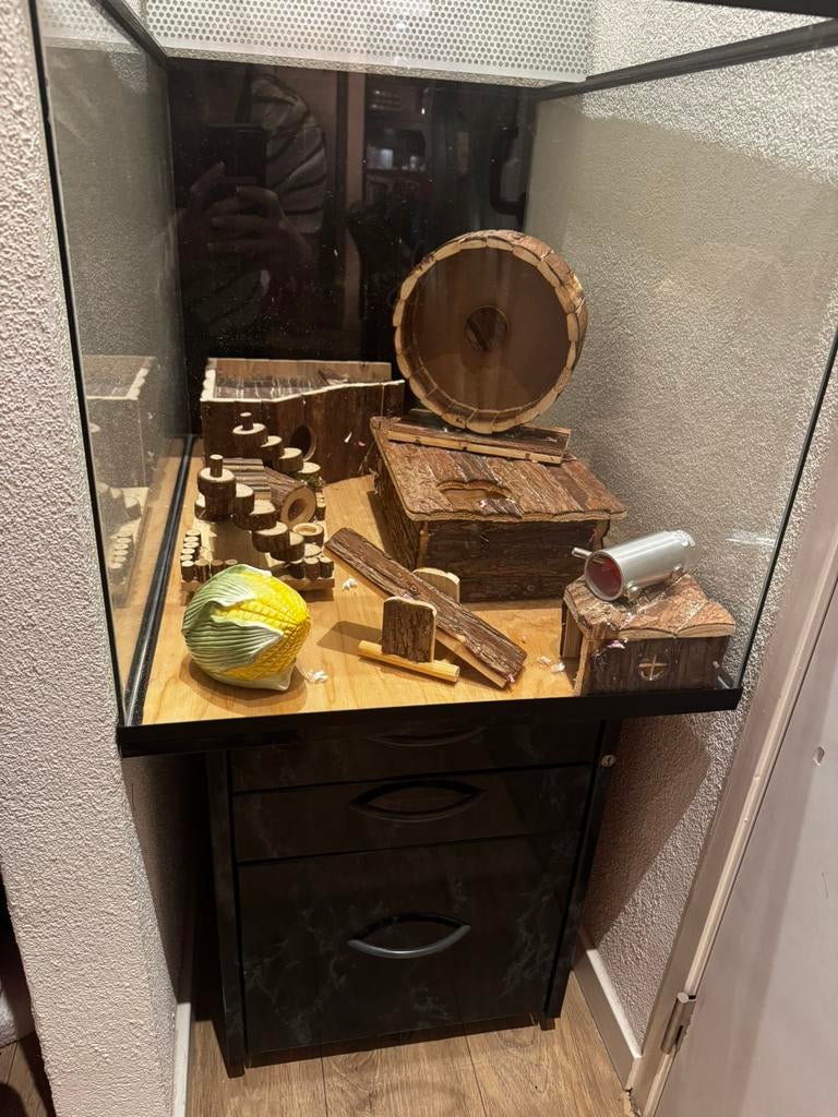 Hamster spullen, Dieren en Toebehoren, Ophalen, Gebruikt