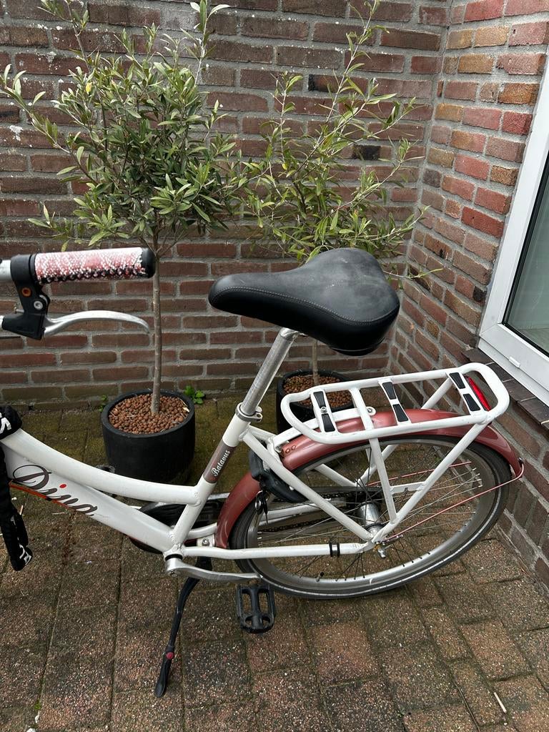 Batavus Diva Damesfiets - Stijlvol en Comfortabel, Fietsen en Brommers, Fietsen | Dames | Damesfietsen, Batavus, Ophalen of Verzenden
