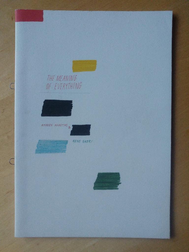 The Meaning of Everything, vol. 1, Ayreen Anastas/Rene Gabri, Boeken, Ophalen of Verzenden, Zo goed als nieuw, Schilder- en Tekenkunst