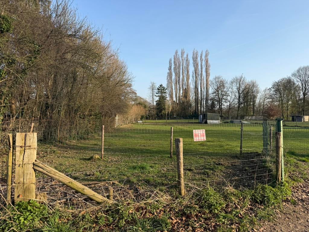 Weide met stal omgeving beek te huur., Dieren en Toebehoren