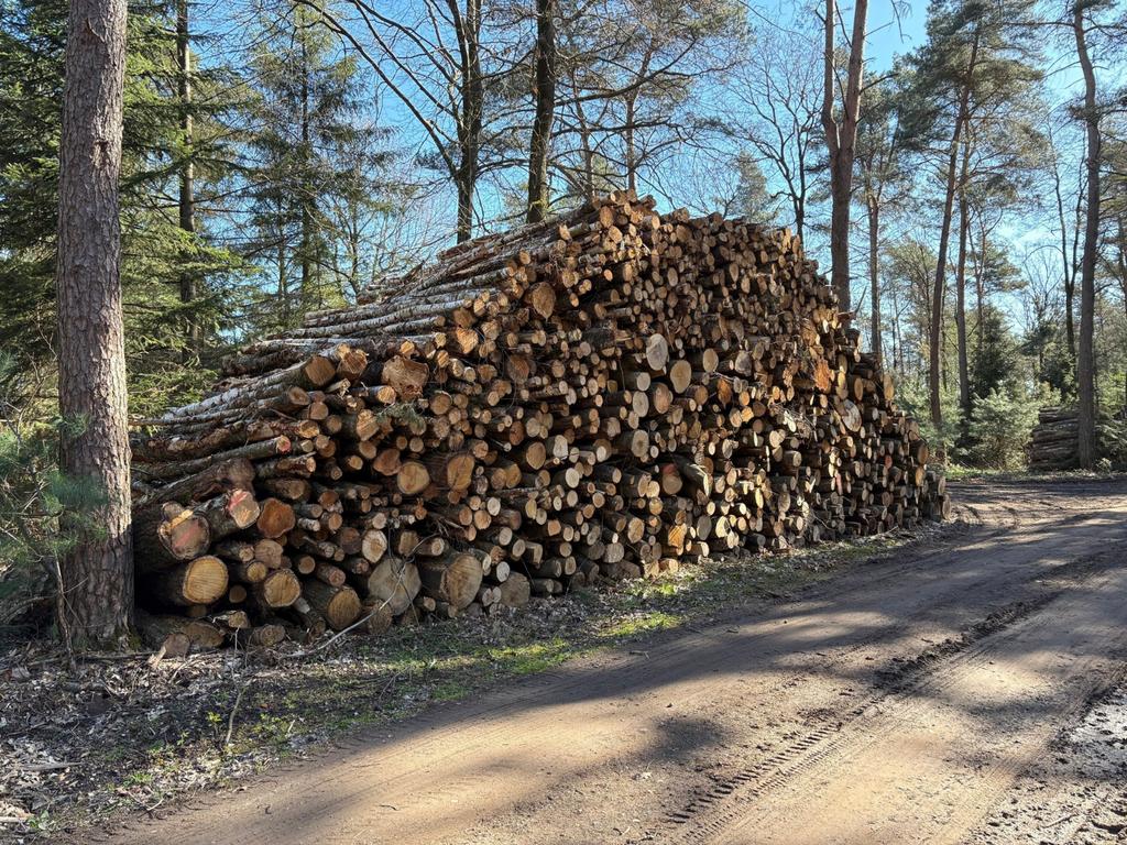 Stamhout mix eik, beuk en berk | volle vracht brandhout, Tuin en Terras, Haardhout, 6 m³ of meer, Verzenden, Eikenhout, Stammen
