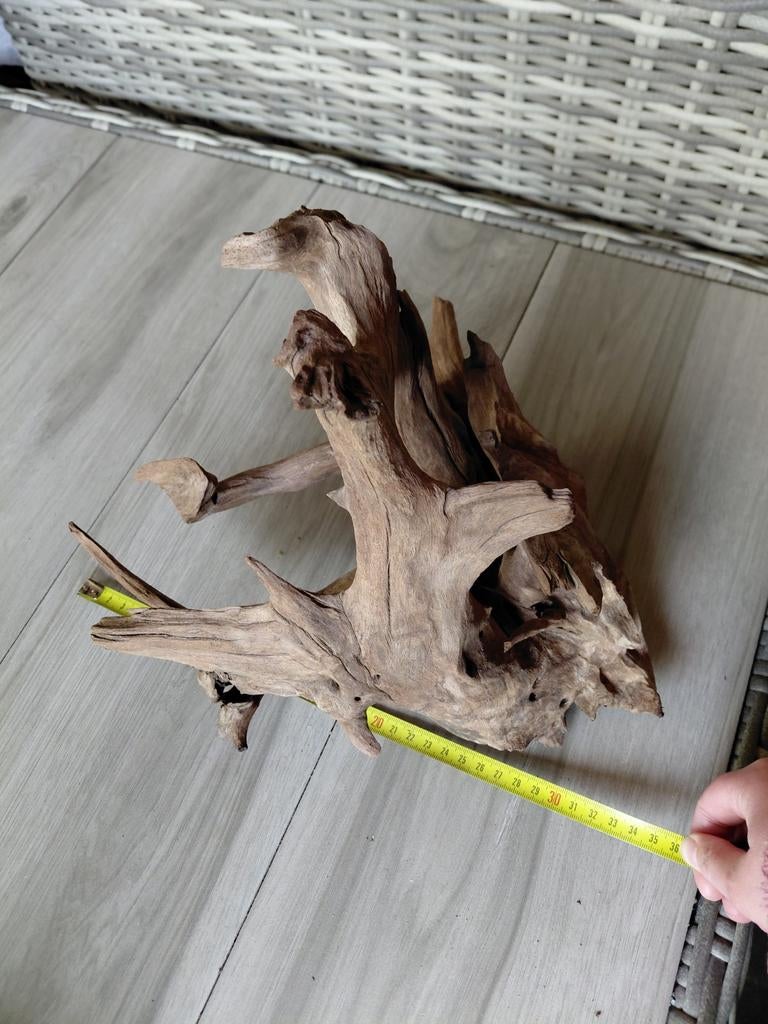 Decoratiehout voor aquarium of terrarium, Dieren en Toebehoren, Ophalen, Plant(en), Steen of Hout