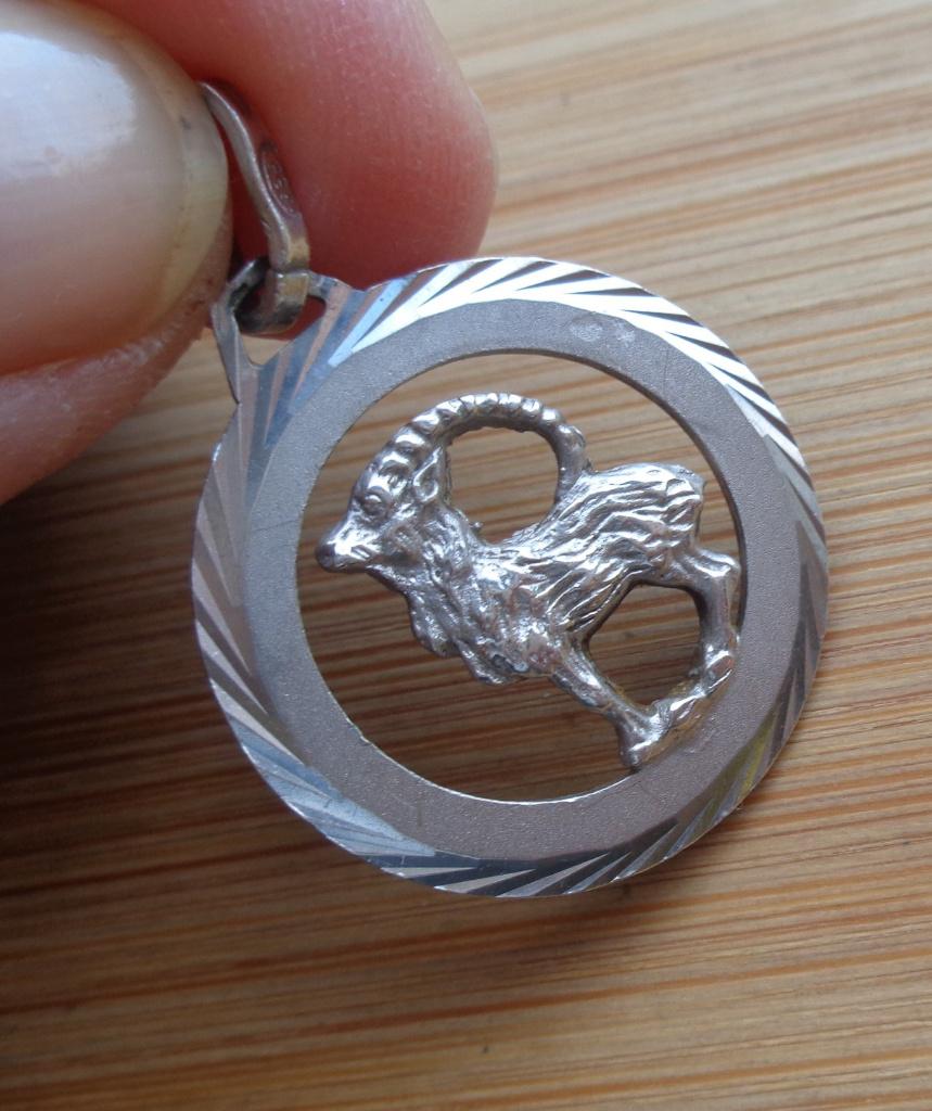 zilveren sterrenbeeld hanger steenbok [1002], Verzenden, Zo goed als nieuw, Kruis of Symbool, Zilver